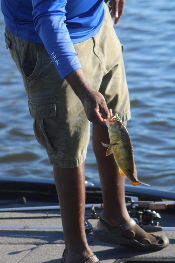 Wildlife Views & Fishing * Cape Coral